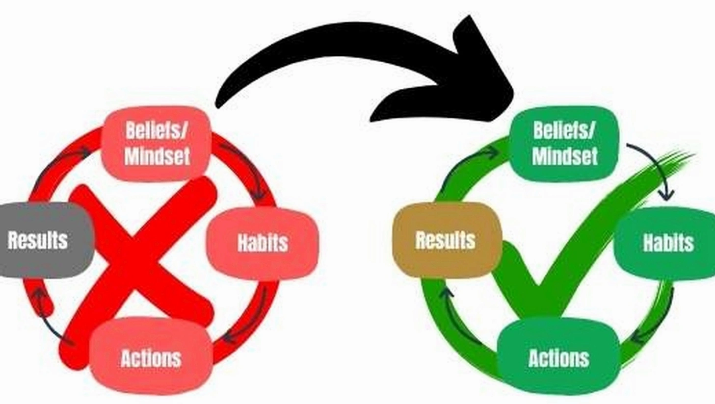Success habits training